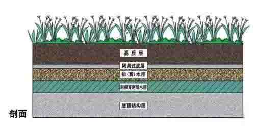 湖南草字頭生態(tài)環(huán)境建設有限公司,人造草坪假草皮,湖南雨水收集處理工藝 湖南草字頭生態(tài)環(huán)境建設有限公司,人造草坪假草皮,湖南雨水收集處理工藝